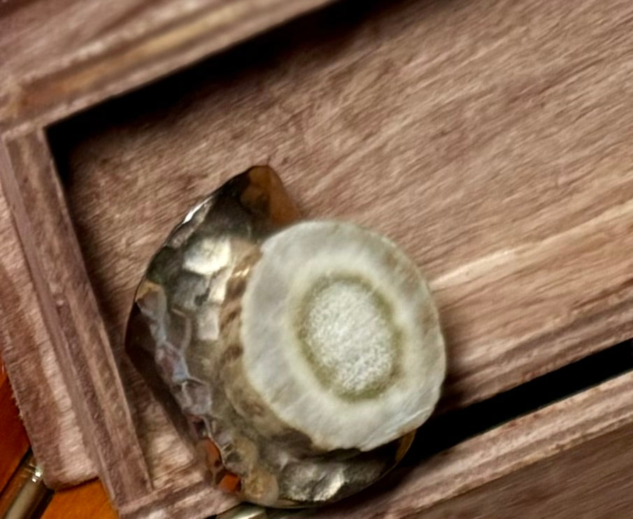 “Andouiller” Ring