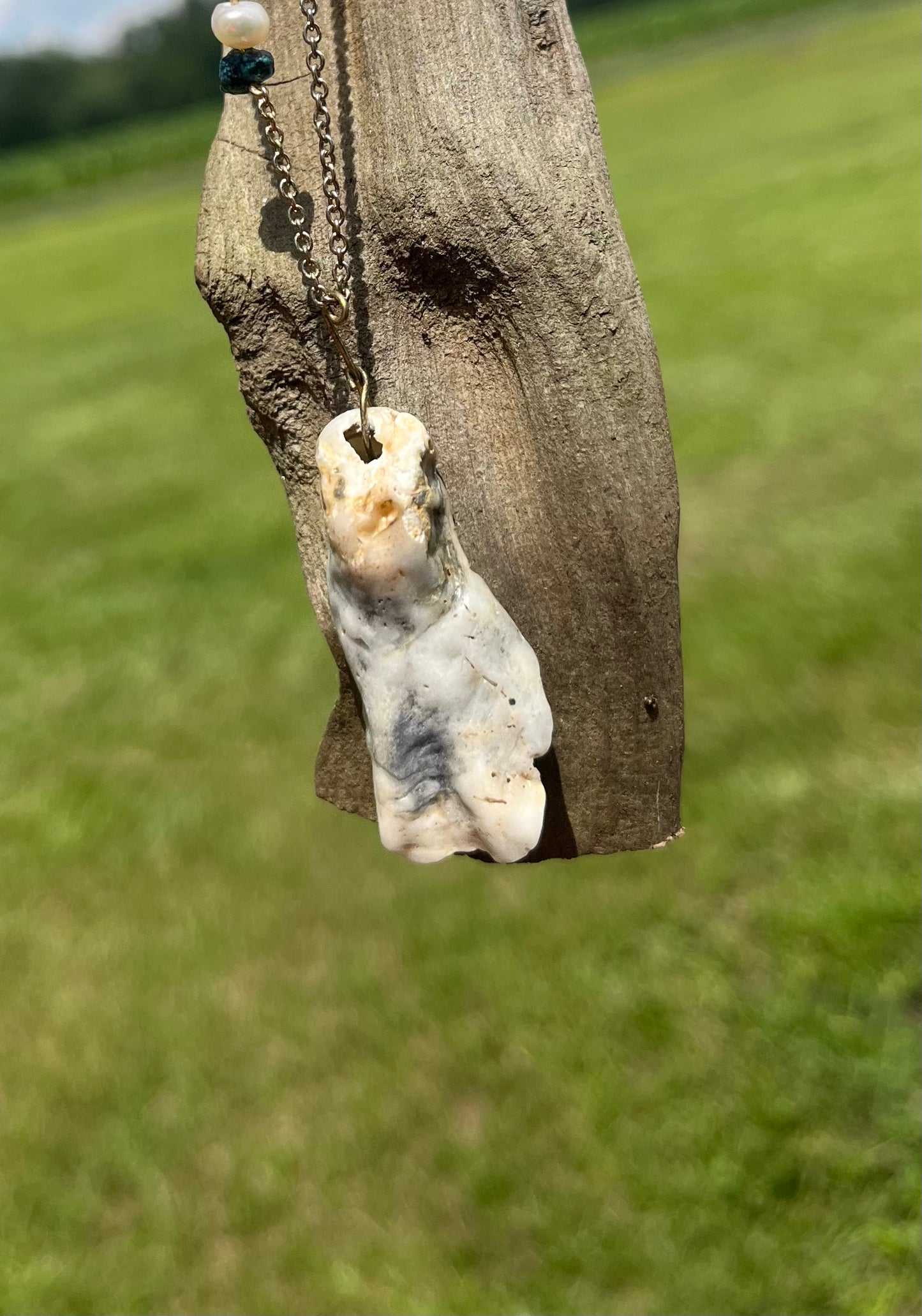 “Shell Away” Clasp Necklace