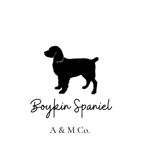 Boykin Spaniel Silhouette Vinyl Decal