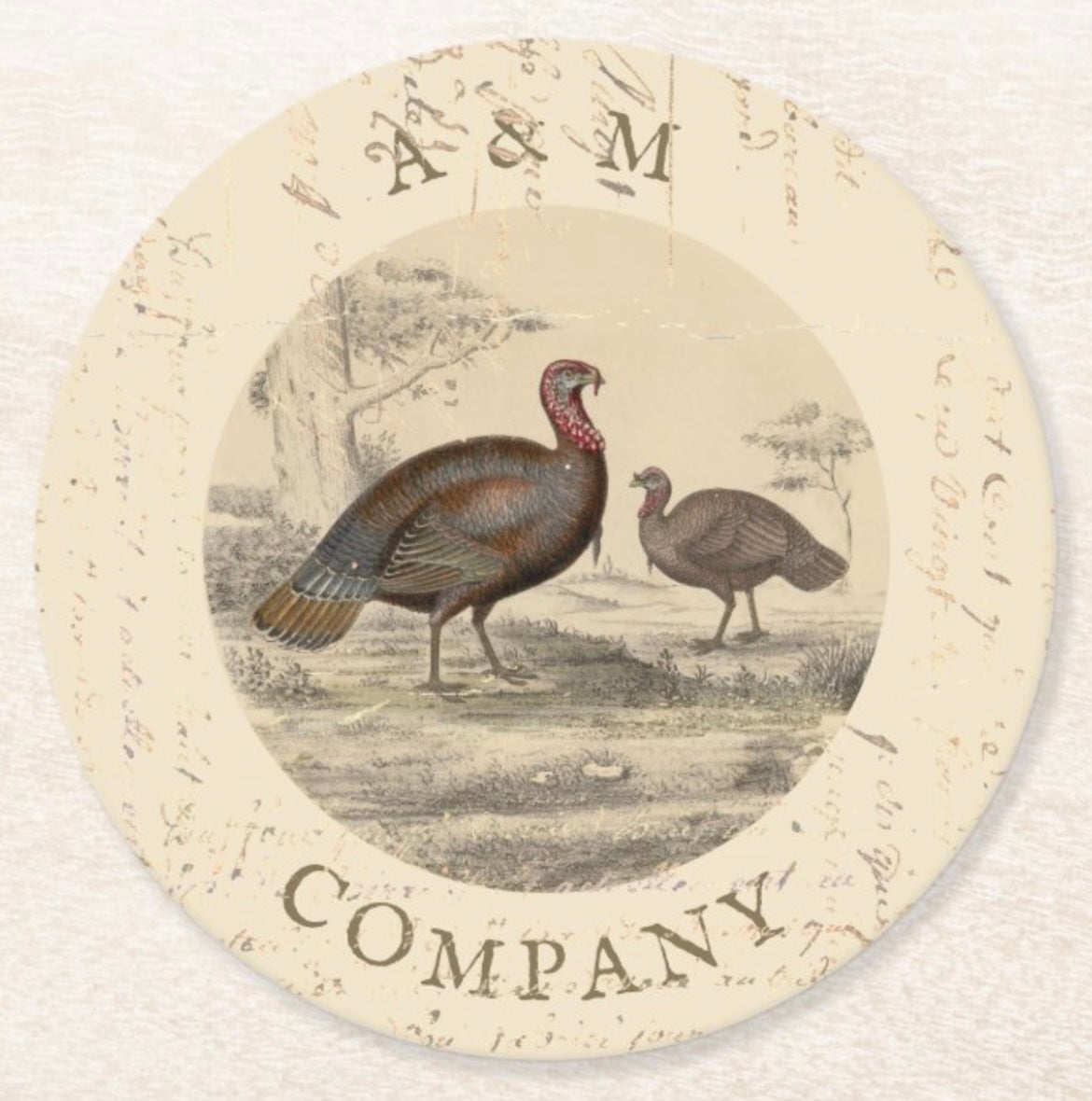 Vintage Turkey Coasters