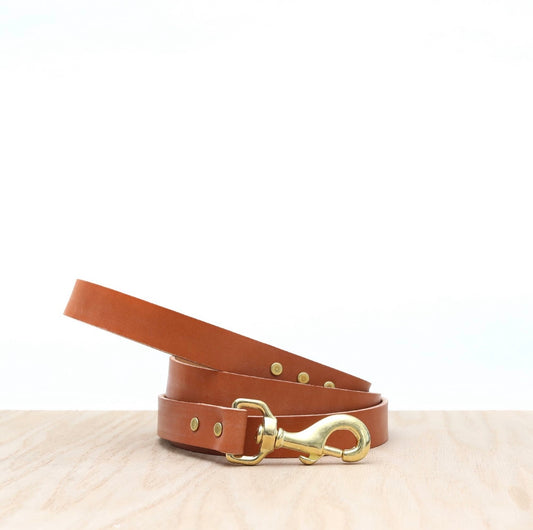 Leather Dog Leash