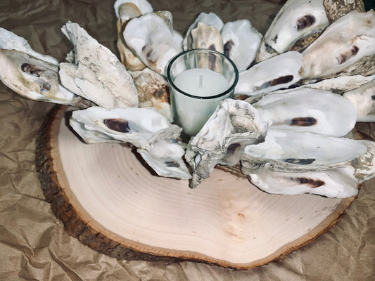 "Oyster Bed" Candle Holder