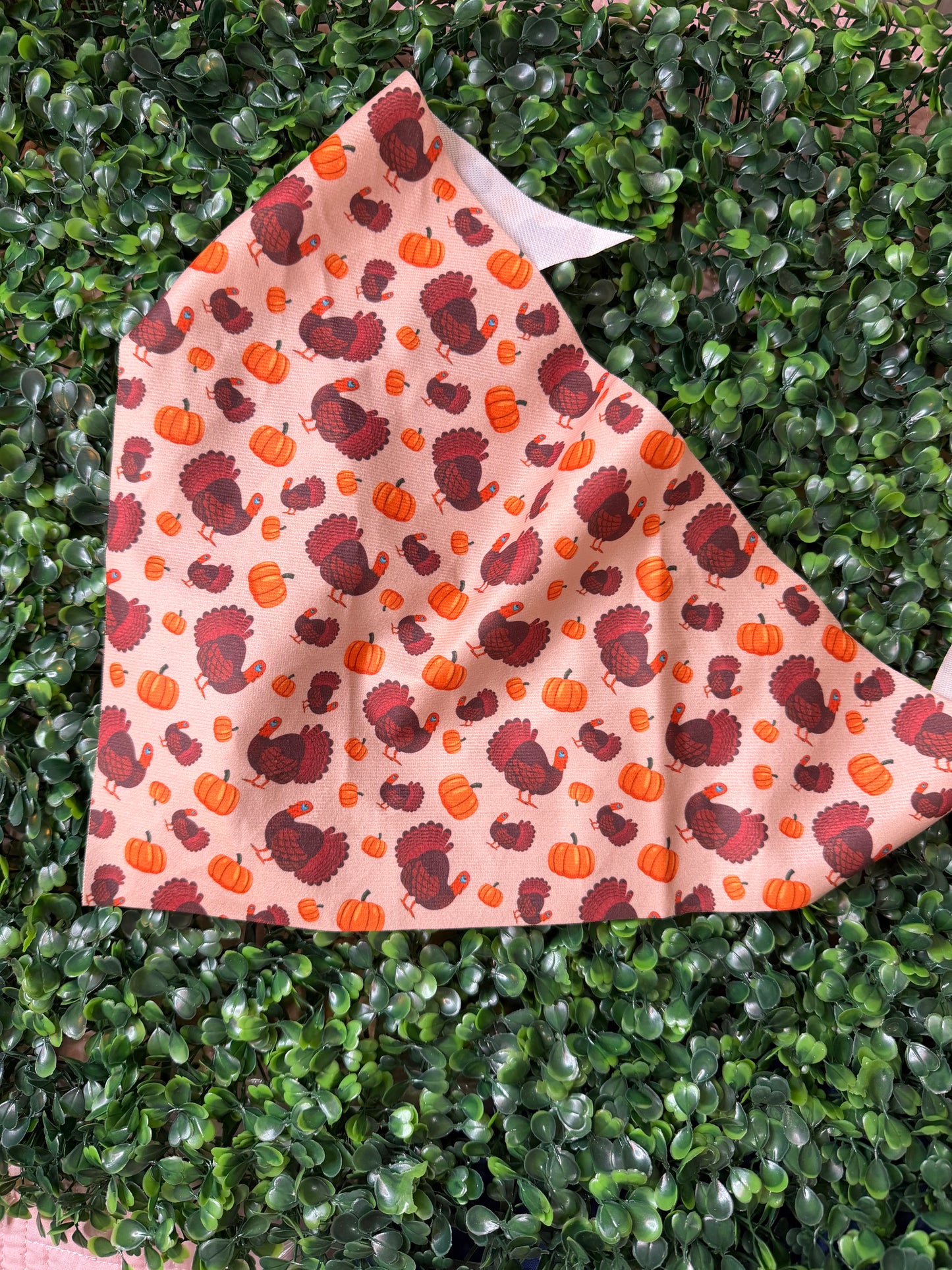 Seasonal Pet Bandanas