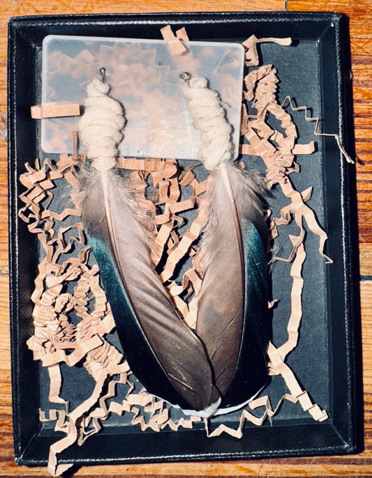 “Knotical” Duck Feather Earrings