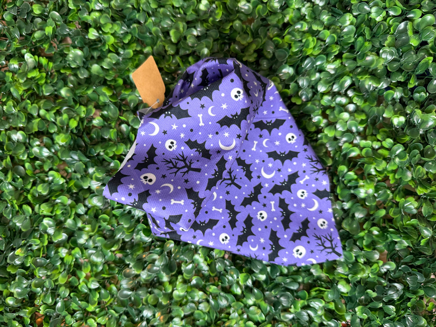 Seasonal Pet Bandanas