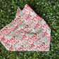 Seasonal Pet Bandanas
