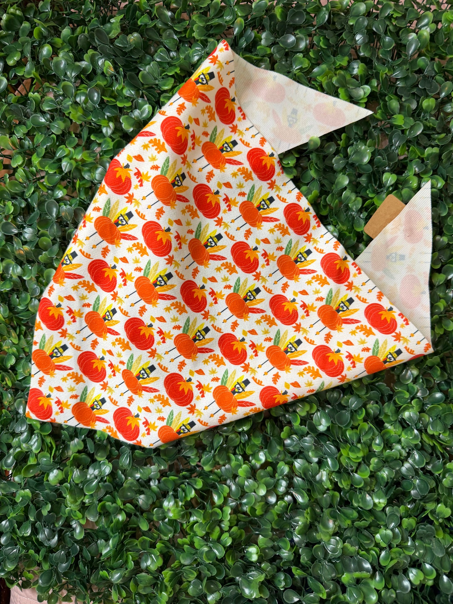 Seasonal Pet Bandanas