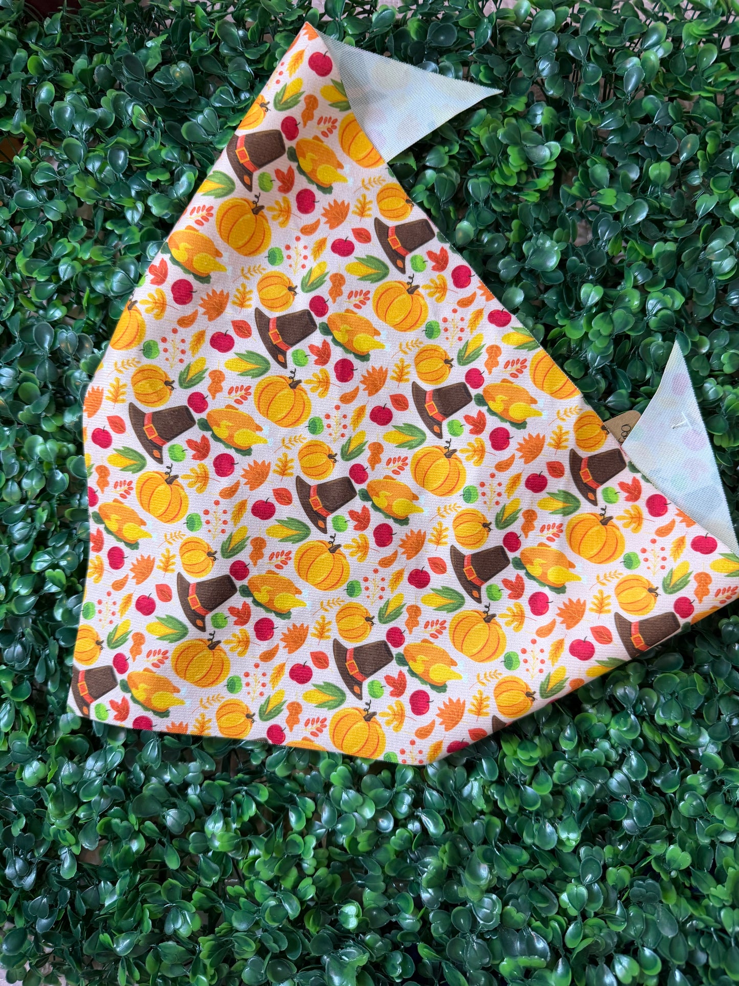 Seasonal Pet Bandanas