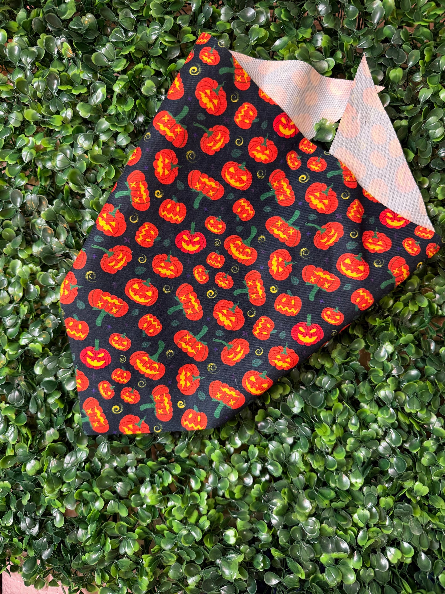 Seasonal Pet Bandanas