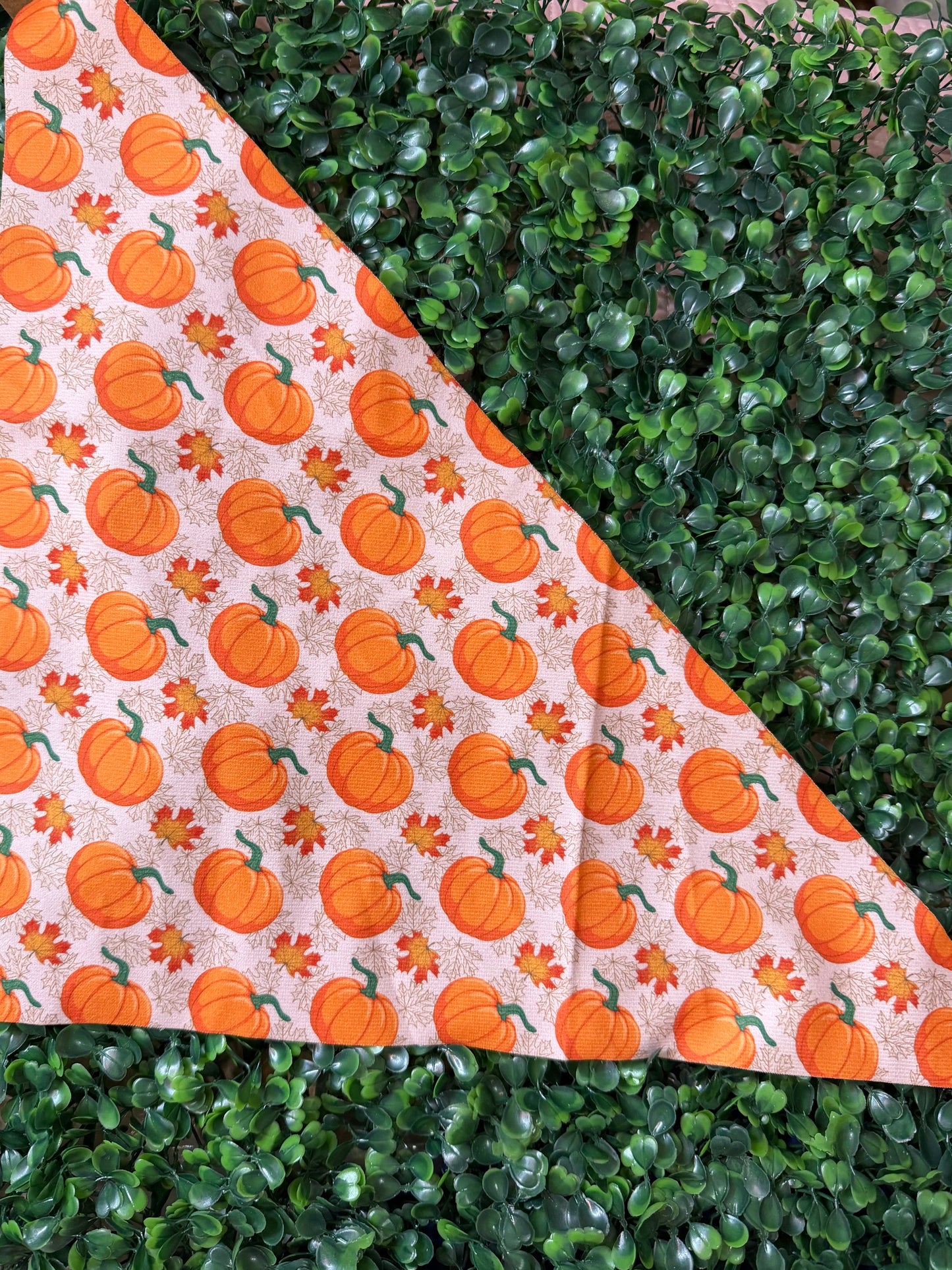 Seasonal Pet Bandanas