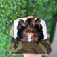 The Swamp Iris Feather Trucker Hat