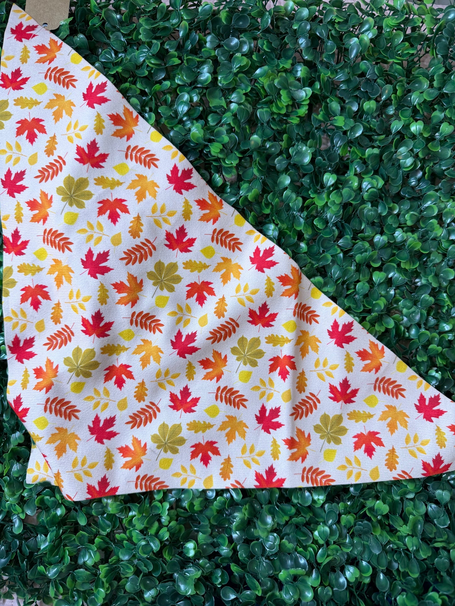 Seasonal Pet Bandanas