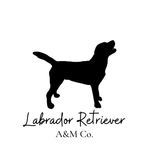 Labrador Retriever Silhouette