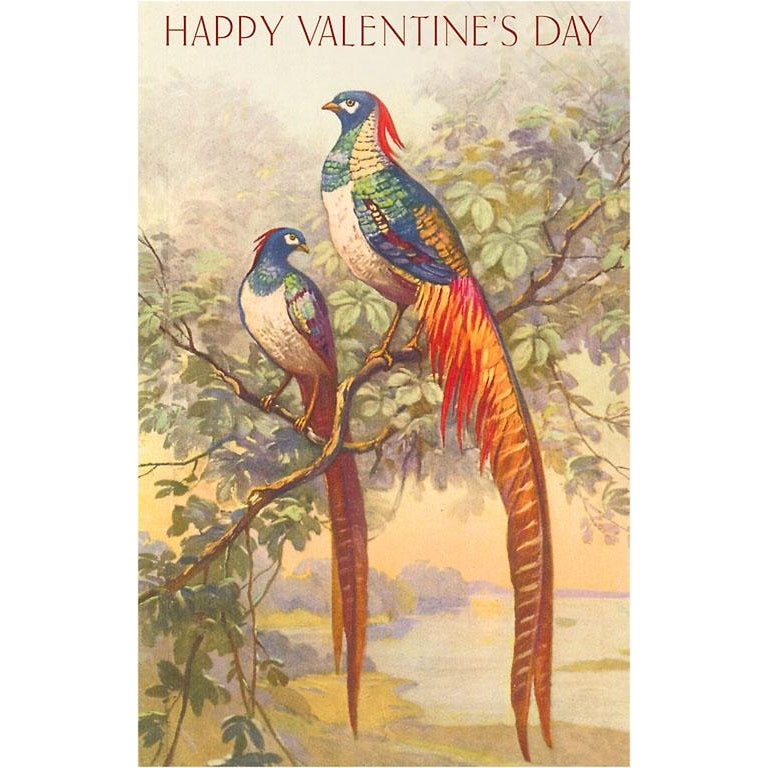 "Happy Valentine's Day" Golden Pheasants Vintage Postcard
